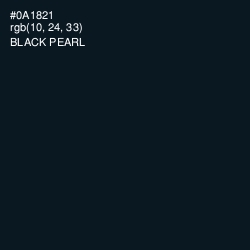 #0A1821 - Black Pearl Color Image